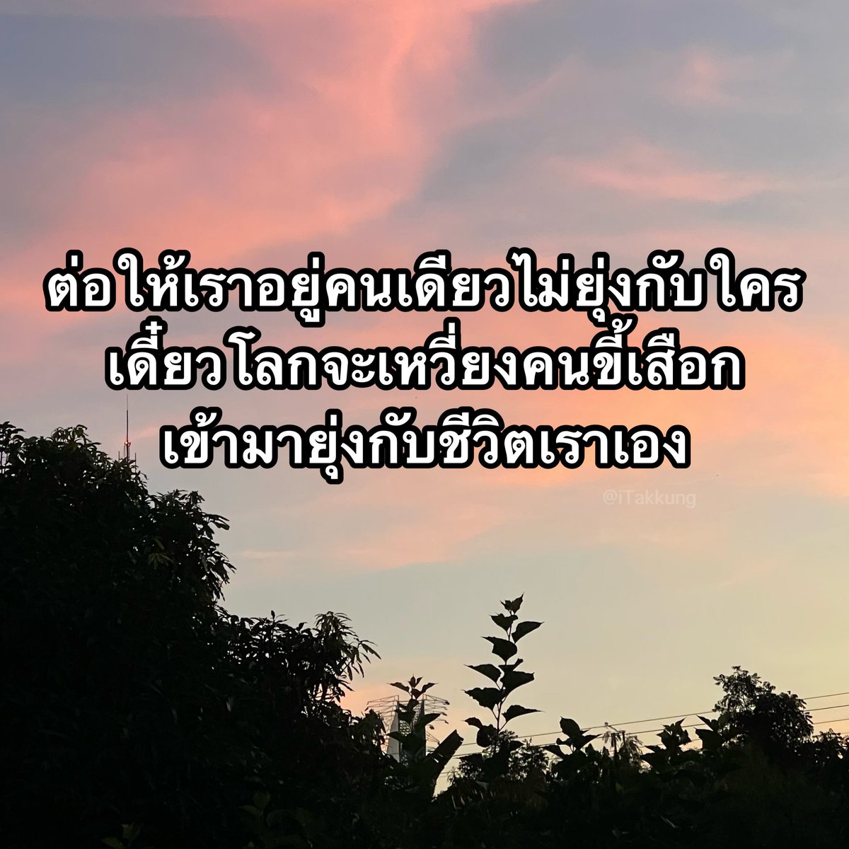 ᴛᴀᴋᴋᴜɴɢ 𓏰˙Ⱉ˙ tweet media