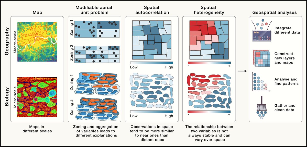 Lefteris Zormpas tweet media