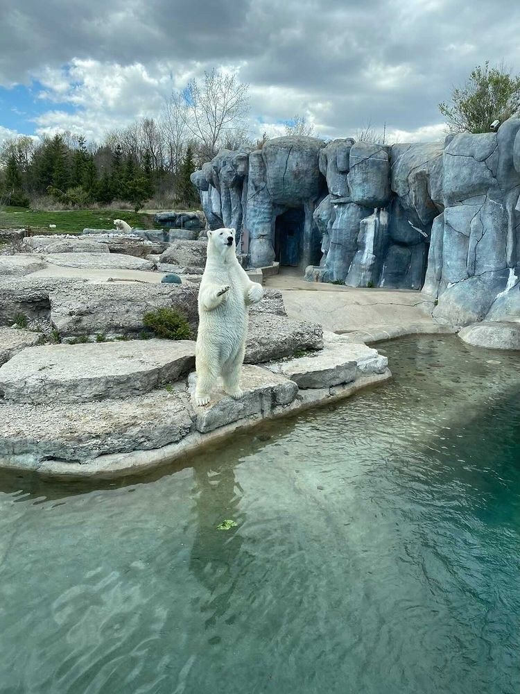 CanadaRunningSeries (@runcrs) on Twitter photo ๐พโ๏ธ Registration Opens for Move Your Paws for the Polar Bear Cause! ๐โโ๏ธ๐โโ๏ธ
Get ready to lace up for a heartwarming cause! On Saturday, February 24th, join us for the 10th edition of Move Your Paws for the Polar Bear Cause.
canadarunningseries.com/move-your-paws/
#MoveYourPaws ๐พโ๏ธ Registration Opens for Move Your Paws for the Polar Bear Cause! ๐โโ๏ธ๐โโ๏ธ
Get ready to lace up for a heartwarming cause! On Saturday, February 24th, join us for the 10th edition of Move Your Paws for the Polar Bear Cause.
canadarunningseries.com/move-your-paws/
#MoveYourPaws