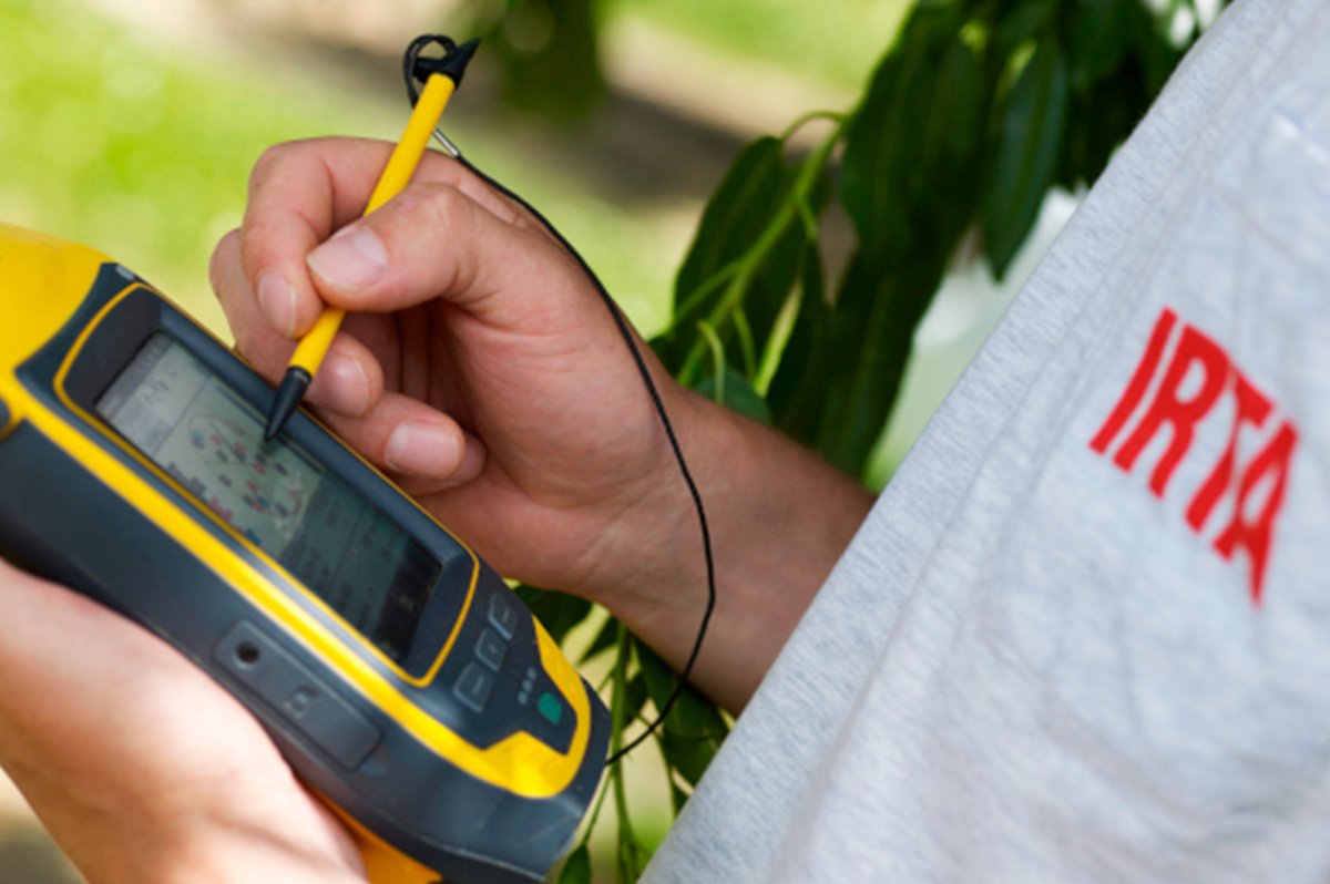 irtacat's tweet photo. 💦 #DIGIREG, coordinat per l'IRTA, aproparà als regants eines digitals per millorar la planificació del reg.

El projecte prova una combinació de tecnologies en 5⃣ tipus de conreus🍇

Les dades s’integraran en una eina de bessons digitals #DigitalTwins 👇
https://t.co/iyhceIvDpr https://t.co/FVjkOAQFLE