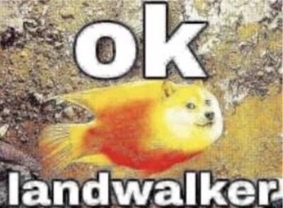 Sap the Hummingbird (@deepboroughzone) on Twitter photo 