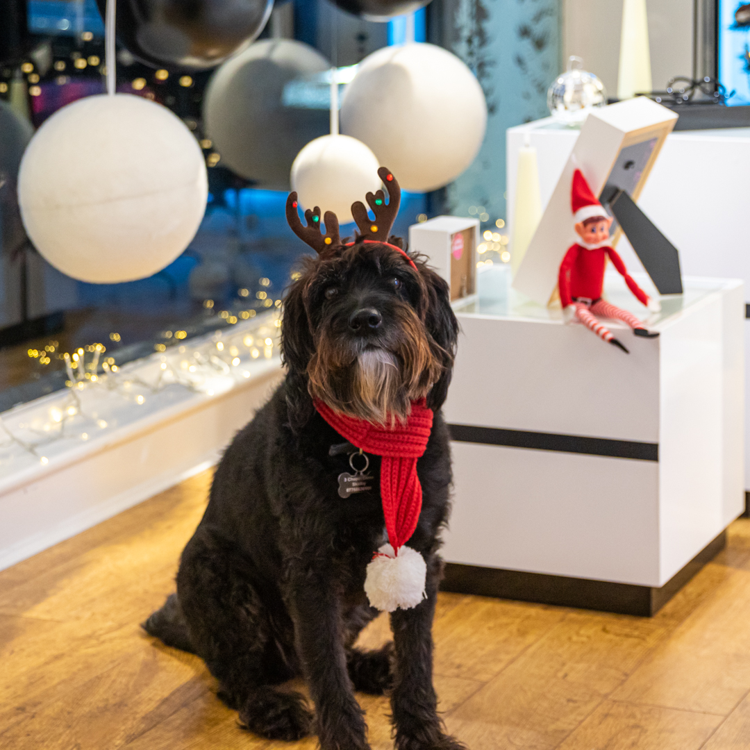 Humphrey is getting into the Christmas spirit 🎄❄️

Looking for the perfect Christmas gift? Find the "XMAS DELIVERY" tag across our website for pieces available in time for the big day.