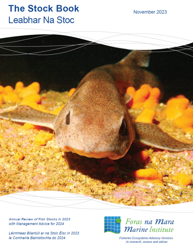 whittledaway's tweet photo. 10 years ago we were told that overfishing would end, entirely, by 2020. Overfishing is now illegal. And yet on it goes, this new assessment of fish populations with an Irish interest shows that things are not improving. https://t.co/s4GhmOuiEi