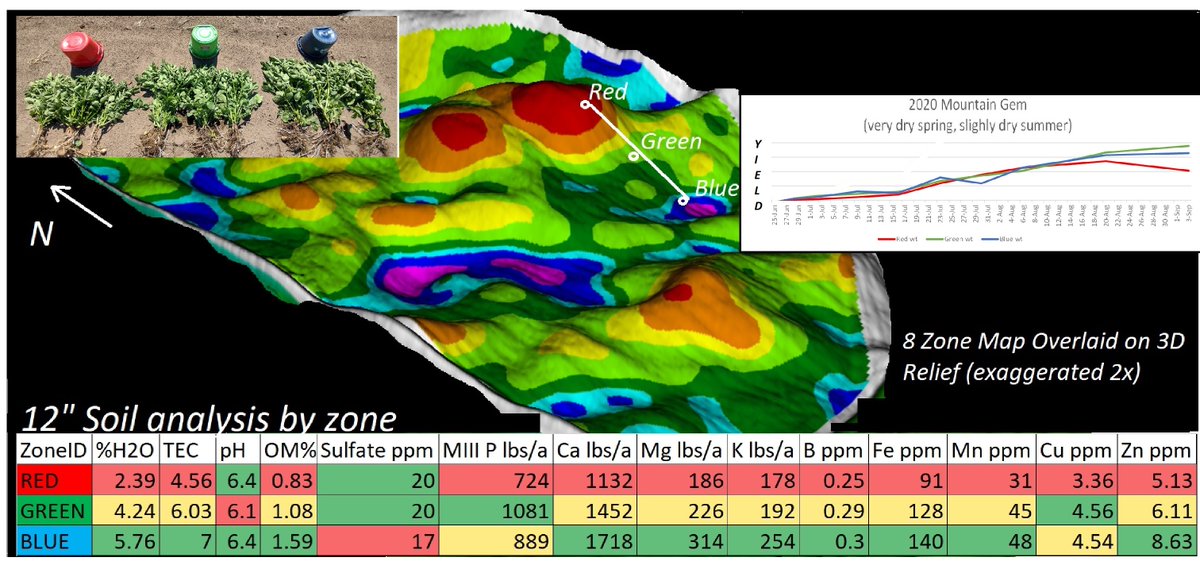 michaeldunnCCA's tweet photo. In 2018, @AnezLlc worked with only 80 acres of #Potato in central MN
Today, we work with ~10,000 acres of potatoes across MN, ND, NE and WY
Our innovative approach to managing #Soil & moisture variability (#SMART4D zone system), has been a major factor in our success story https://t.co/kZzhMBpIDw