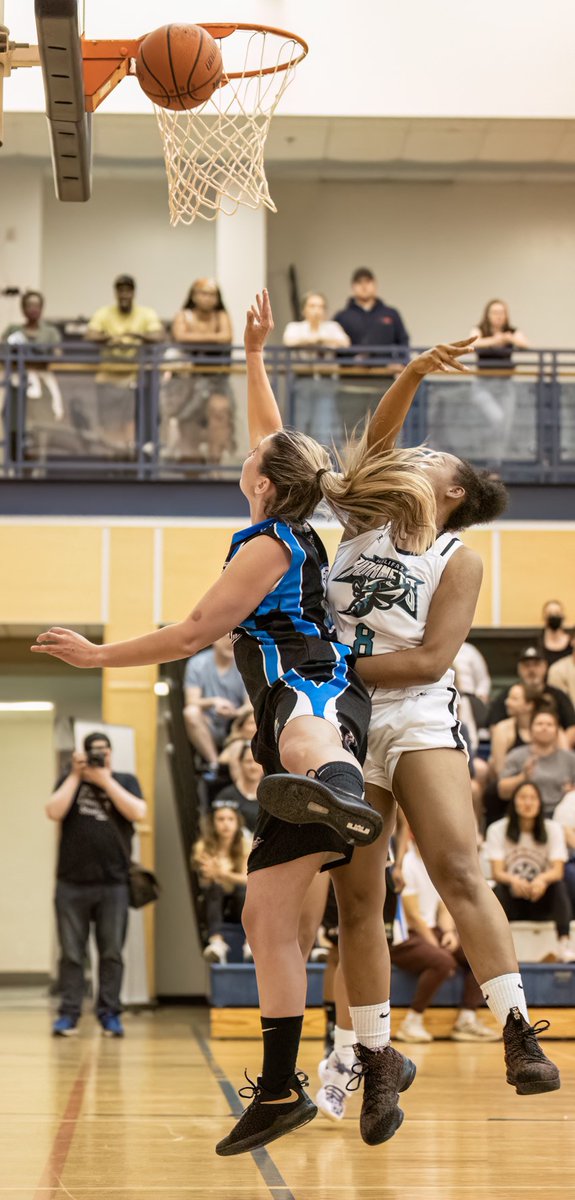 Fredericton Freeze tweet media