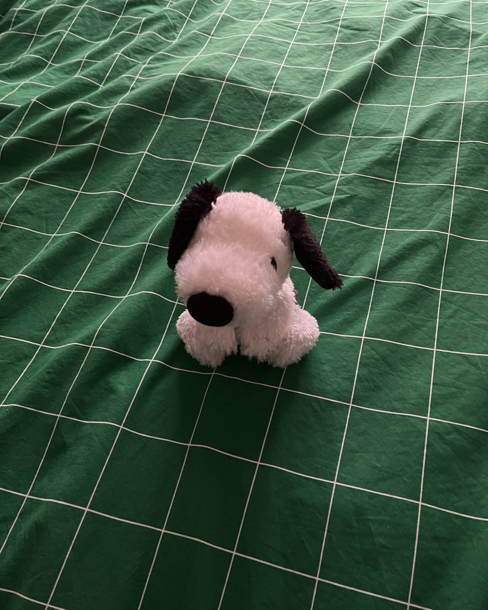 snooopyiscool's tweet photo. my snoopy plushie against the vast expanse of the universe https://t.co/nDmq44Fw3u
