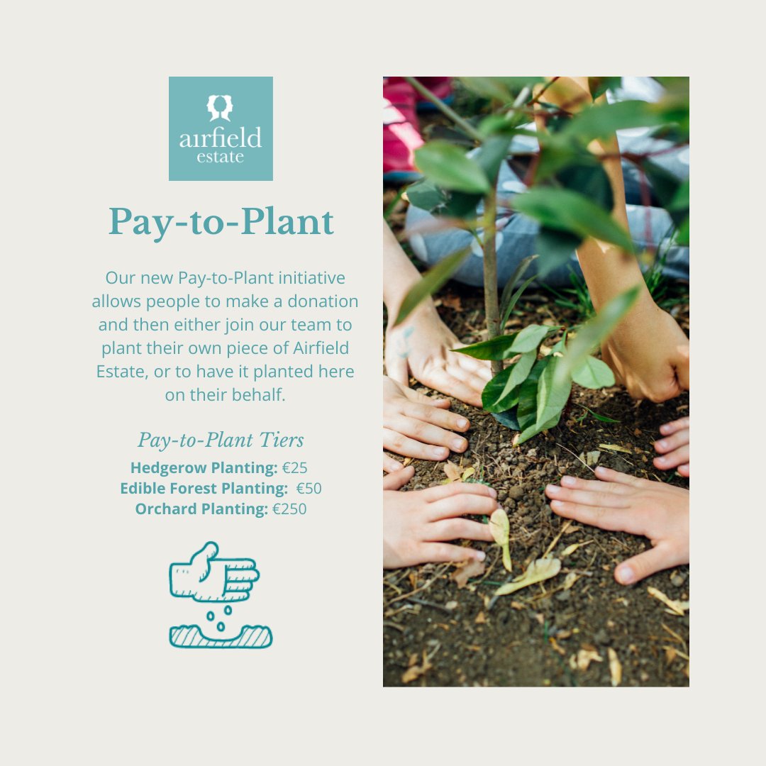 We're delighted to announce our new Pay to Plant programme at Airfield Estate. If you're looking for a holiday gift, consider these reasons to opt for the experience of adding to the rich tapestry of greenery on our 38-acres. airfield.ticketsolve.com/ticketbooth/pr…