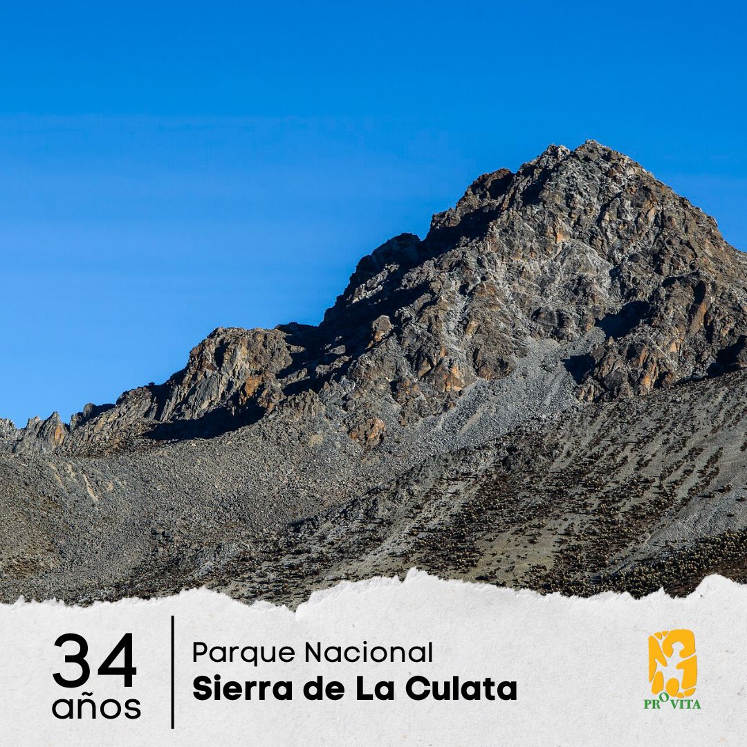 provita_ong's tweet image. ¡Hoy celebramos los 34 años del decreto del Parque Nacional Sierra de La Culata! ⛰️

Desde 1989, este hermoso parque ubicado en el ramal nor-oriental de Los Andes venezolanos ha sido un tesoro natural para el país.

Aprovechamos la ocasión para contarte algunas curiosidades 🧵