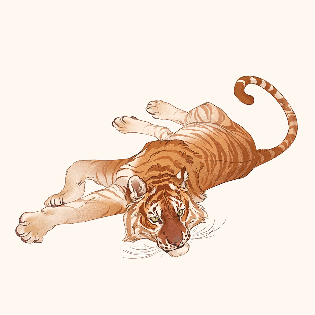 「If you like #bigcats, FELIDAE series is 」|Nora Potworaのイラスト