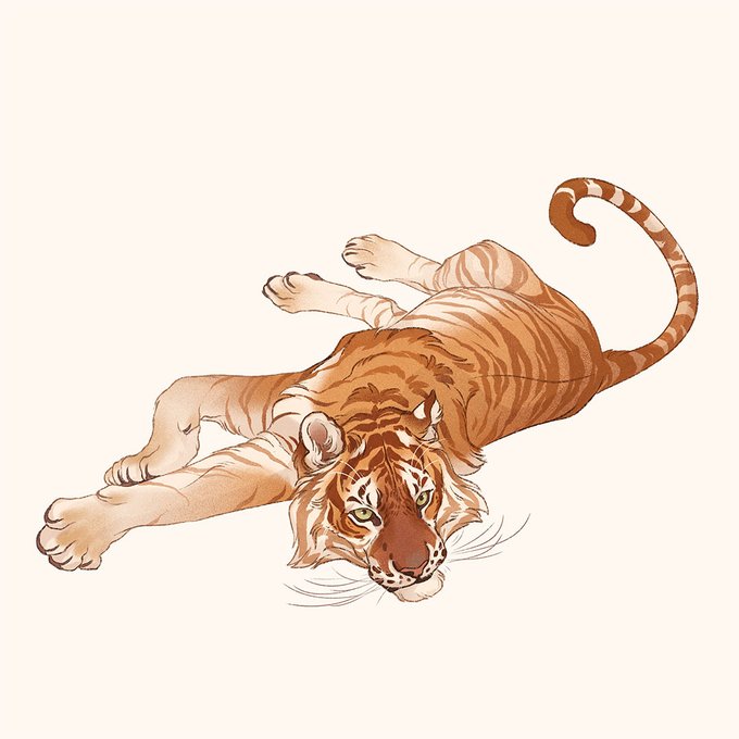 「year of the tiger」 illustration images(Latest)