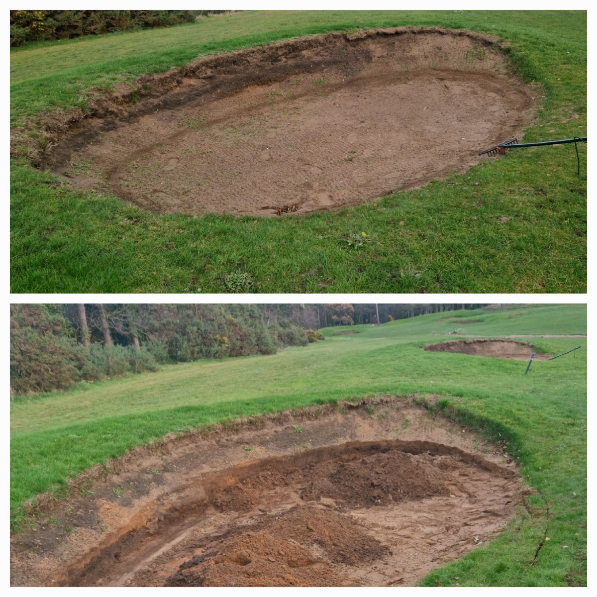 Stephen Barber tweet media