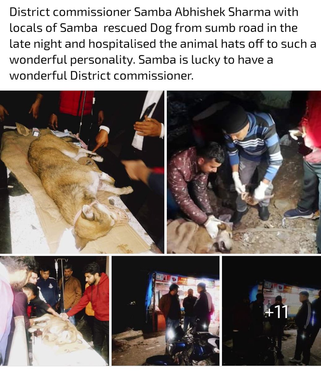 SambaSwachh's tweet photo. @Abhi1shrma @AditiSinghaal @anchalchoudhry @anuradhagupta_ @diosamba1 @diprjk @dmjammuofficial @vishesh_jk @JAMMULINKS @OfficeOfLGJandK @PetaIndia @PeepalFarm @Dept_of_AHD @realvishant @amitbajwa119341 @dograjournalist https://t.co/PzoRnx7PZJ