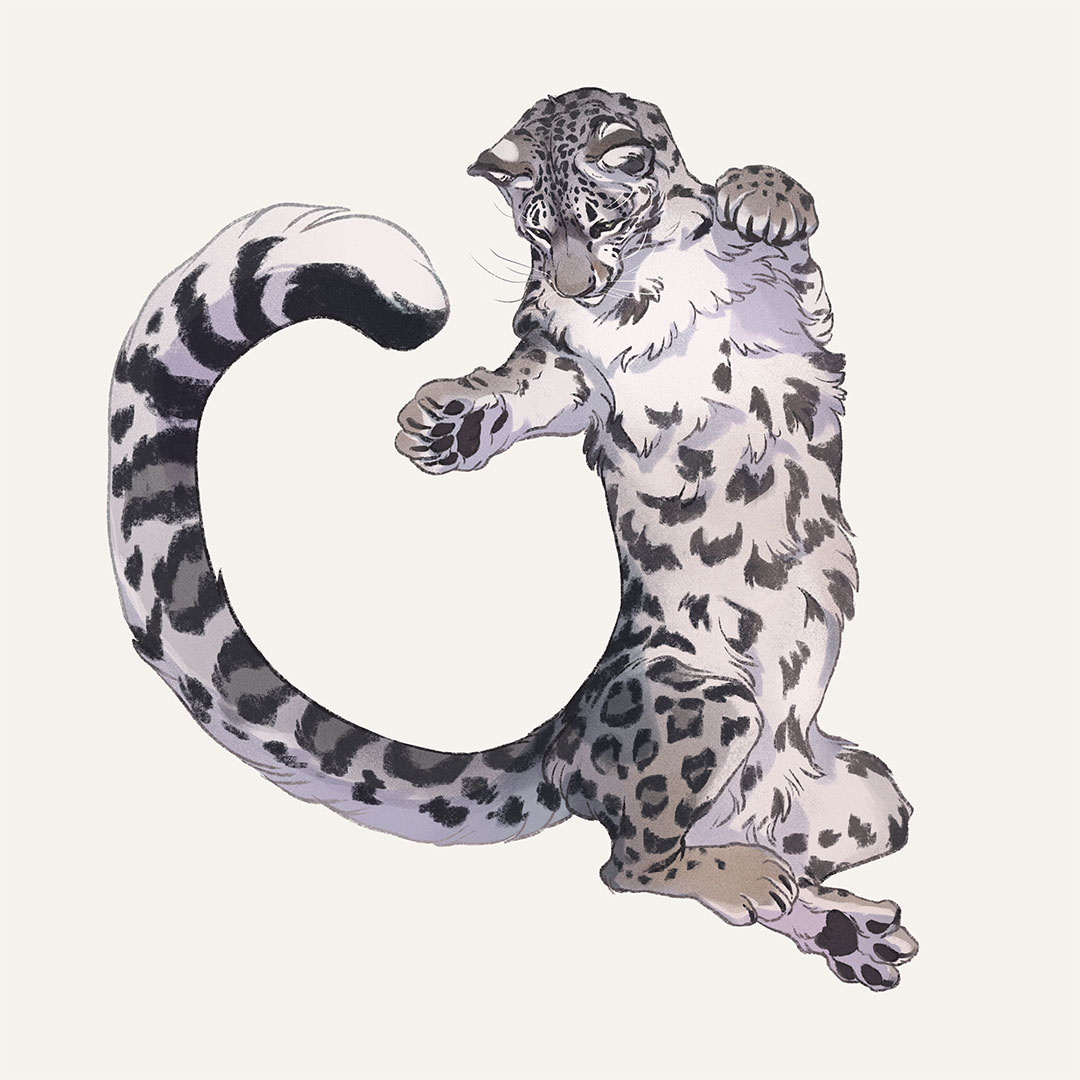 「If you like #bigcats, FELIDAE series is 」|Nora Potworaのイラスト