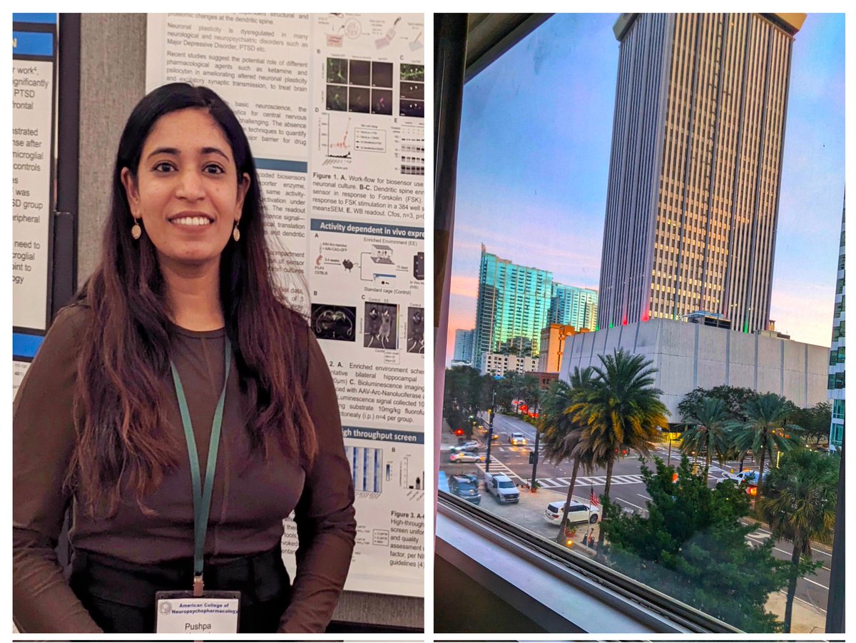 A big shout-out to #ACNP2023 for organizing an amazing conference! Thanks to everyone for such a great interaction, brilliant talks and posters, and to everyone who stopped by and gave useful inputs on my work, making this a memorable conference.