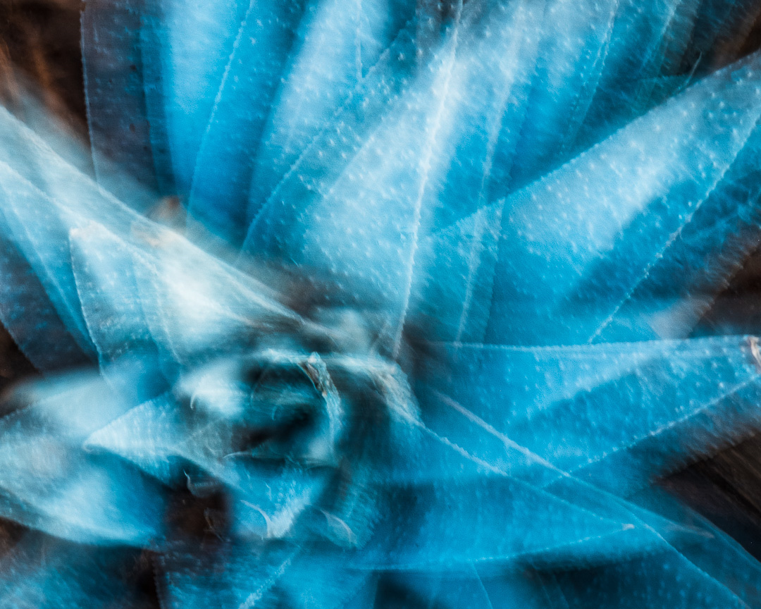 tomirvin44's tweet image. “Beauty surrounds us.” ~ Rumi
.
 #rustlord_unity #abstractphotography #abstractphoto #intentionalcameramovement #icm #icmphotography #icmphotomag #icmphotographymagazine #icm_gallery #icmartists #rustlord_blue #raw_community