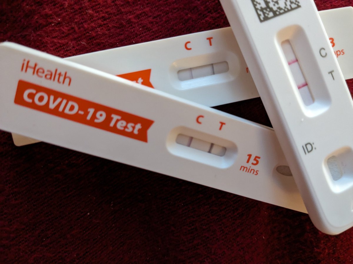 Wild Spirit Traveler tweet media