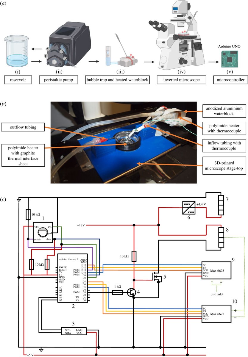 Royal Society Publishing (@rsocpublishing) on Twitter photo New #RSOS paper describing the construction of an inexpensive temperature controller for live cell imaging. Read the full paper: ow.ly/VEc450Qe2GR @D_Dooley1 <a href="/Ross_O_Carroll/">Ross O'Carroll</a> <a href="/jimmer_reynolds/">James Reynolds</a> New #RSOS paper describing the construction of an inexpensive temperature controller for live cell imaging. Read the full paper: ow.ly/VEc450Qe2GR @D_Dooley1 <a href="/Ross_O_Carroll/">Ross O'Carroll</a> <a href="/jimmer_reynolds/">James Reynolds</a>