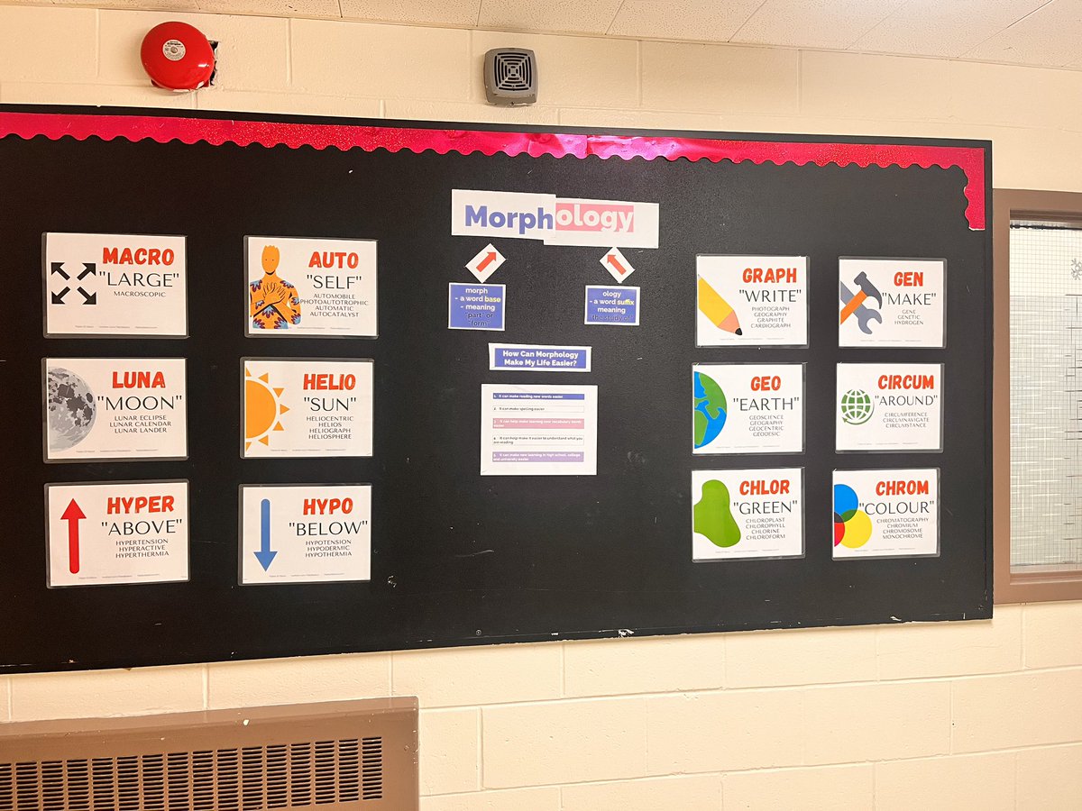 Melissa Trenbirth tweet media