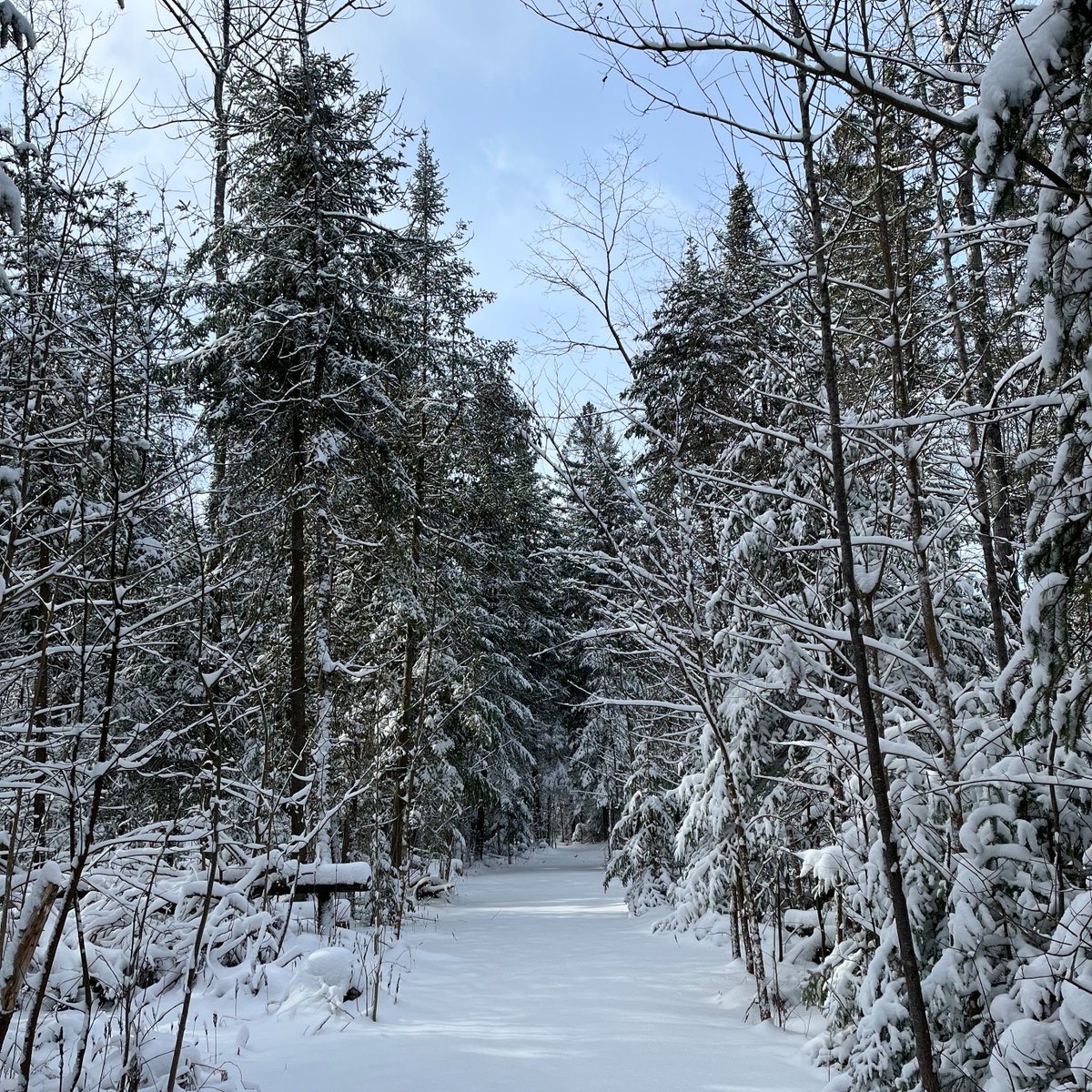 Cold Camera Challenge! 

Let's see your best Springwater PP winter photos. The top 3 photos will be posted every Wednesday from the previous week. An overall winner to have their photo used as our winter 2024/25 banner!

Send a max. of 1 photo/wk to andrea.maranduik@ontario.ca.