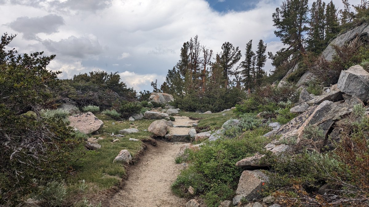 Jordan Rogers tweet media