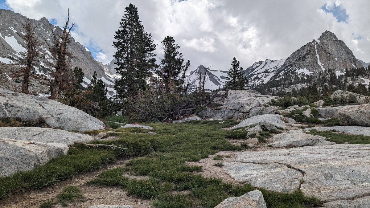 Jordan Rogers tweet media