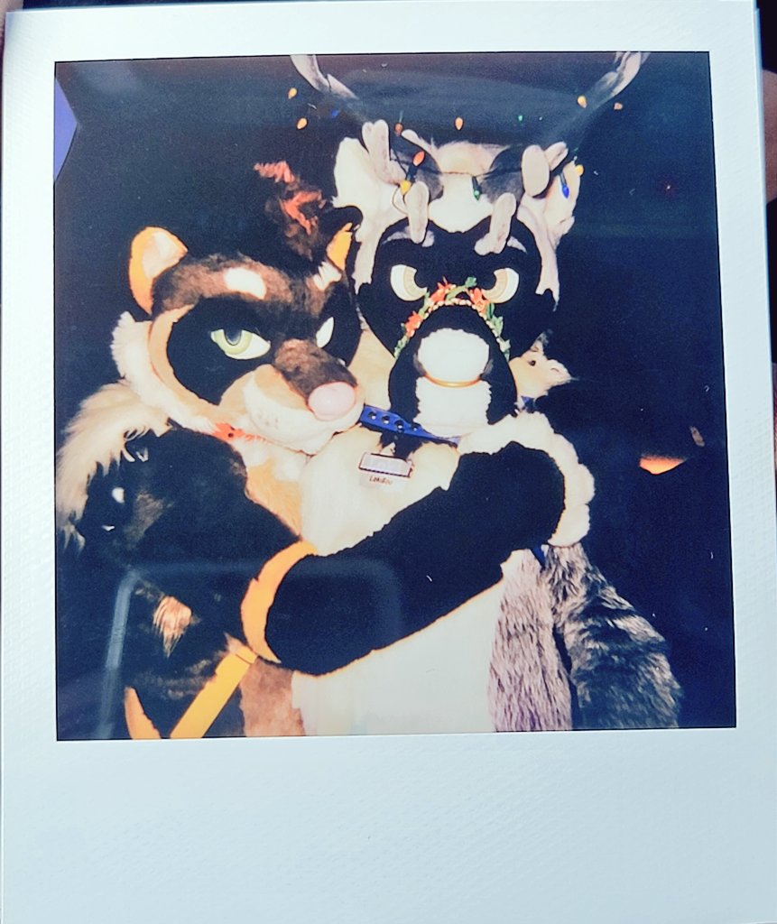 DakotaAstroWolf's tweet photo. I honestly had more fun taking Polaroids at MFF than i should have. https://t.co/SQtbRUdn23