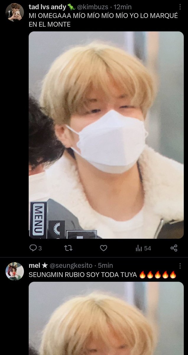 han luu :3 | VIÓ A SKZ 🇵🇪 (@holahannie) on Twitter photo 