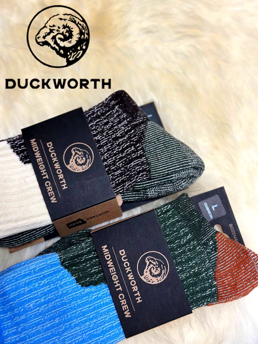 ASI (@sheepusa) on Twitter photo 