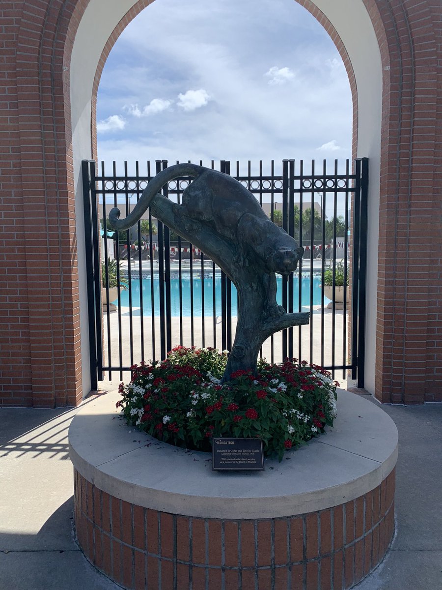 Sage Verkler tweet media