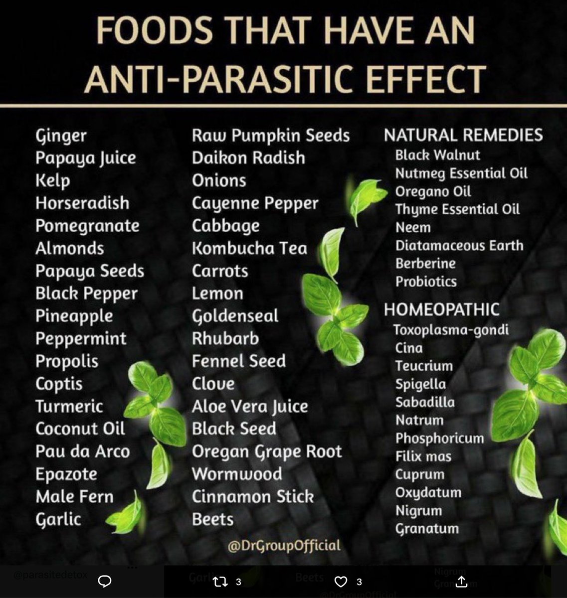 Here is a list of anti-parasitic foods to accompany your herbal parasite cleanse or to take on their own.
#food #HealthTips #parasitecleanse