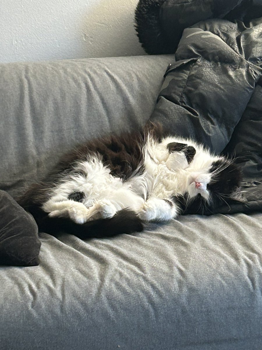 Sneeping like am Babby