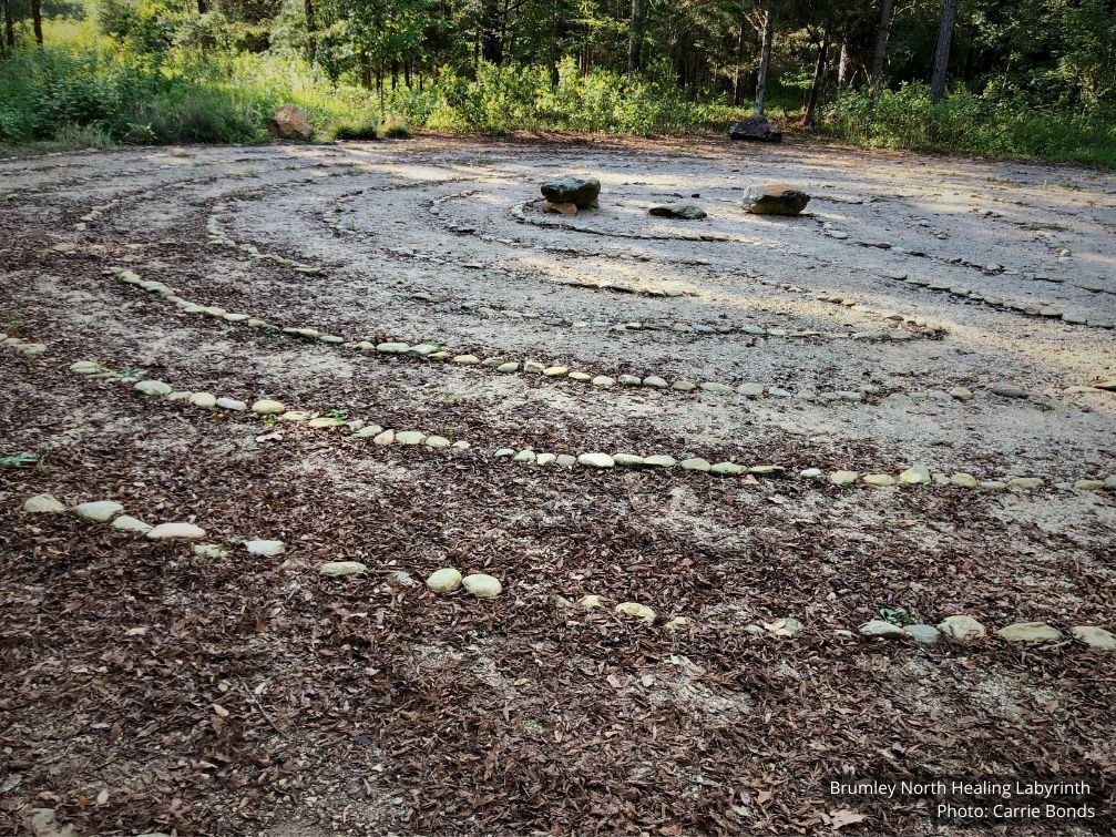 Triangle Land Conservancy (@triangleland) on Twitter photo Join us at the Healing Labyrinth, a place for reflection and mediation, for a short relaxing walk.π π This event is great for the whole family, and we welcome families with children in strollers and toddlers.
December 16, 5 - 5:45 PM
Register at buff.ly/3t7NdTN Join us at the Healing Labyrinth, a place for reflection and mediation, for a short relaxing walk.π π This event is great for the whole family, and we welcome families with children in strollers and toddlers.
December 16, 5 - 5:45 PM
Register at buff.ly/3t7NdTN