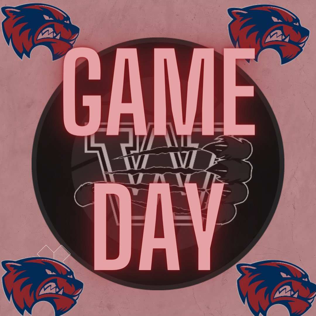 Woodstock Basketball tweet media