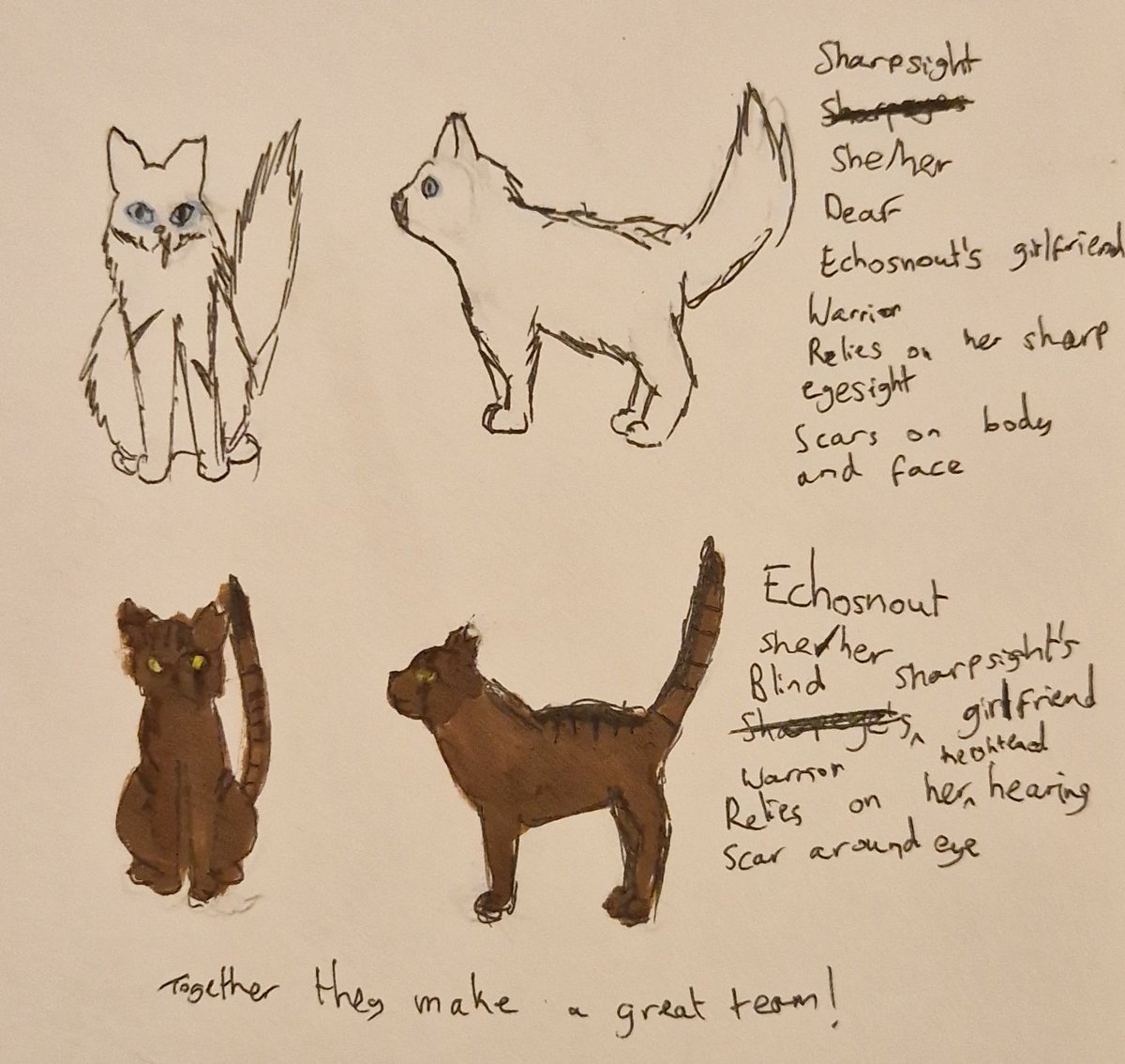 These are my Warrior Cats ocs Sharpsight and Echosnout!

Sharpsight is named after her sharp eyesight and Echosnout is named after her heightened sense of hearing and loud voice.

Sharpsight is more outgoing whilst Echosnout is more reserved.