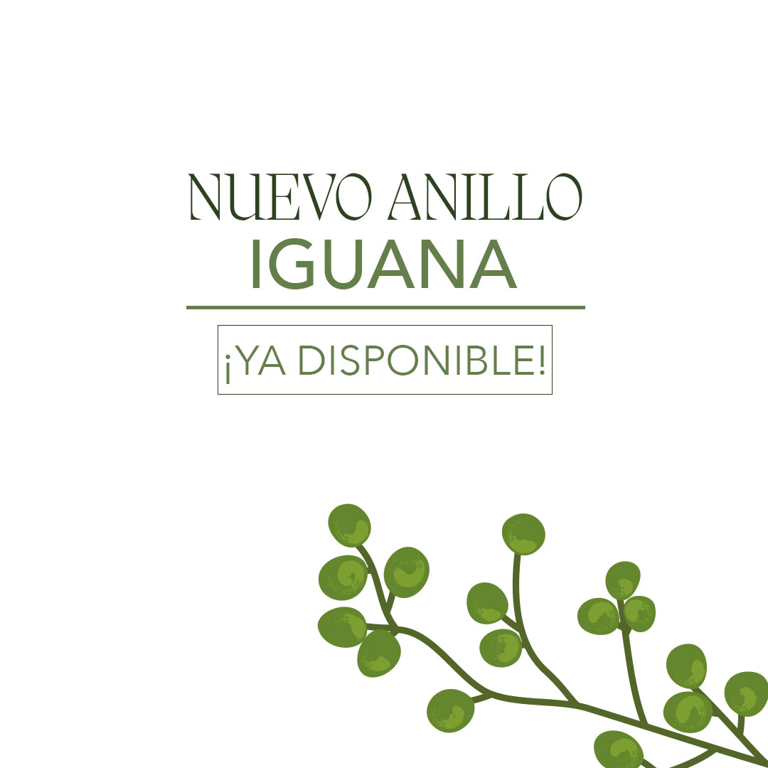🦎✨ ¡Nuevo anillo de plata de iguana! 🌿 La iguana, símbolo de paciencia y adaptabilidad, encuentra su hogar en esta exquisita joya que te conectará con la esencia de la calma y la transformación. Encuéntrala ahora en nuestra tienda en línea y lleva contigo esta poderosa energía