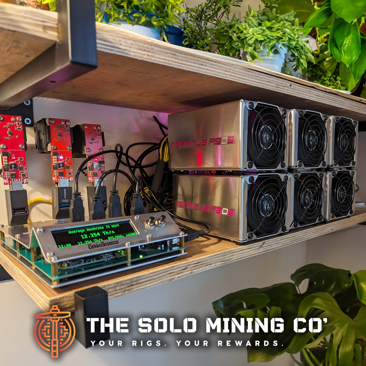 TheSoloMiningCo's tweet photo. GekkoScience SmartHub running 6 x R909 Pod Miners & 3 X CompacF USB miners. 12.5Th/s of BTC mining in my home office! Currently set up for Solo Mining. Gotta solve that block...! Check out https://t.co/WJiVTQdBoB for unique home mining setups. #gekkoscience #bitcoin #Mining https://t.co/BaPQsJXsvP