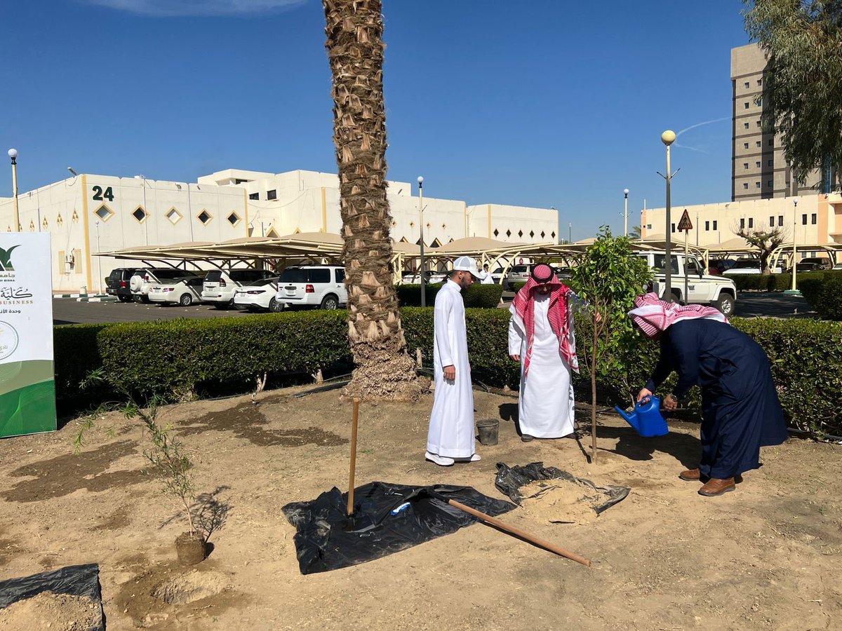 كلية الأعمال tweet media