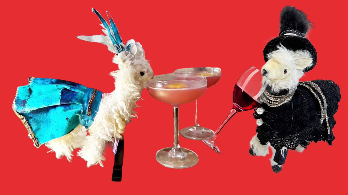 Tomorrow night Moira Rose Llama and Sarah Jessica🦙will be joining our <a href="/curious_lounge/">The Curious Lounge</a> team Christmas party. Let’s hope they both make it home…. #rdguk Llamas on the loose.
