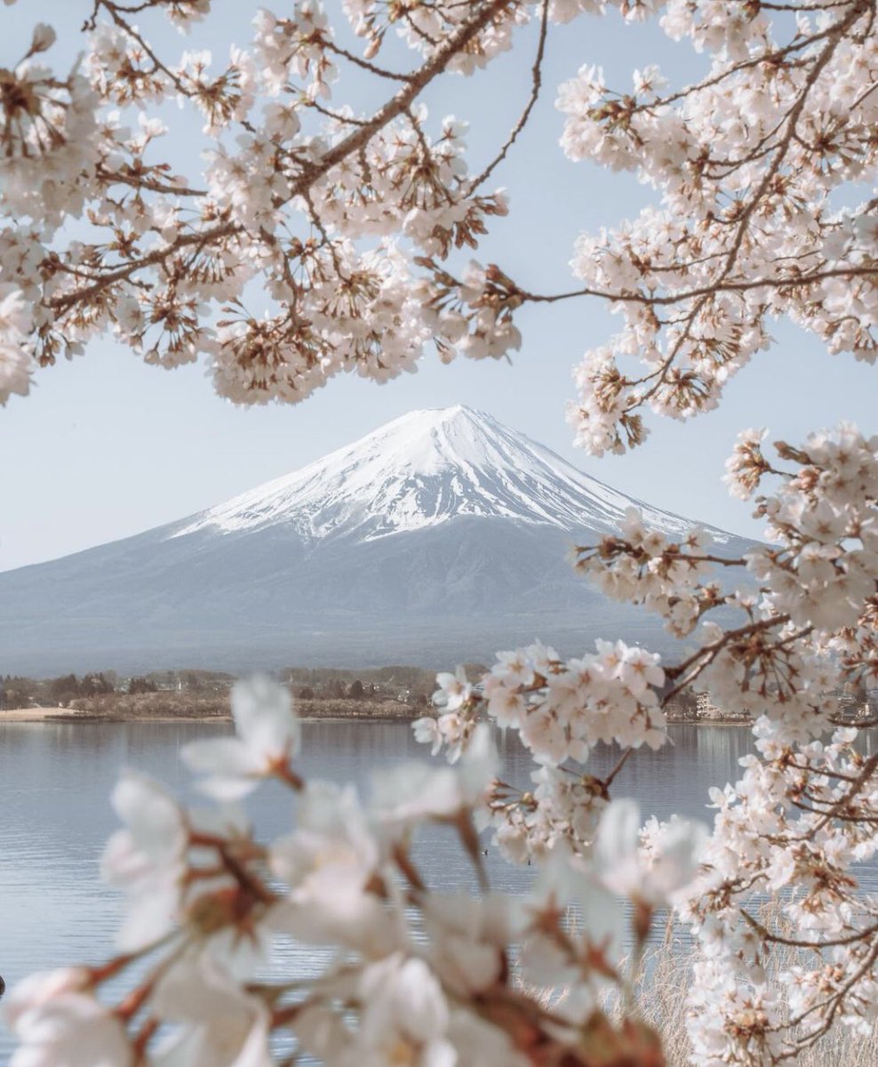 Mount Fuji’s, #Japan 🇯🇵

#AbhishekKumar
ADORABLE | ABHISHEK MALHAN #INDvENG
#JusticeForDisha 
#கைகோர்ப்போம்
#Kashmir #Article370
#FighterTeaser #AsimRiaz #12thBPS #5DaysBanking
#HimanshiKhurana
#Gambhir
#LegendsLeagueCricket #Sreesanth #KaranKundrra
#IshaMalviya