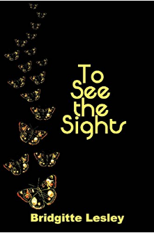 'To See the Sights' is a love story that will please all lovers of the genre, & convince others to try it more often #lovestory #feelgood meganthemisconception.com/reviews/to-see…