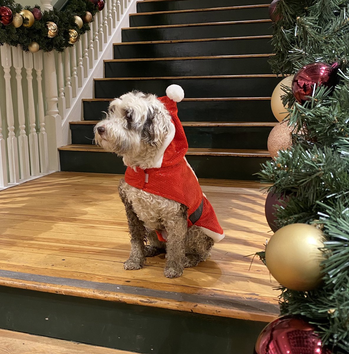 BeMoreBob tweet media