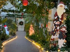 You are Invited to visit the Decorated Greenhouse in Bowring Park on Thurs., Dec. 7 from 5 to 7 pm and take
a walk around the Duck Pond to see the Holiday Lights!