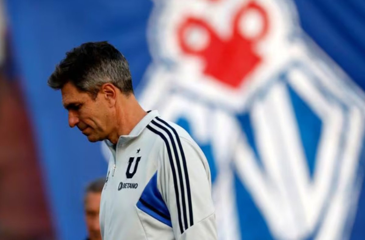 Pasión infinita tweet media