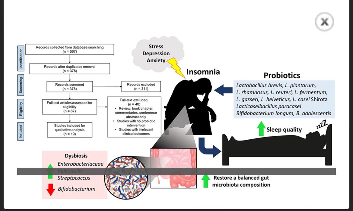 Uyku 💤 😴 bozukluğu olanlarda Bifidobakteri düzeyleri azalmıştır. Bifidobacterium Infantis, Lactobasillus Plantarum gibi Probiyotik kullanımı sebeb ne olursa olsun uyku bozukluğunu düzeltmek için önerilmektedir gut.bmj.com/content/71/Sup… #gut #Health #dysbiosis #sleep