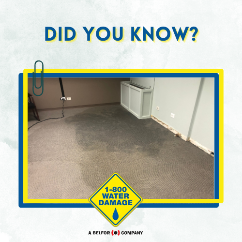 DryingExpert's tweet image. 💧 Water damage is a common and costly issue that affects both homes and businesses. Did you know that water damage claims accounted for nearly 30% of all homeowner's insurance claims in 2020? 📊

Click here for more information: facebook.com/1800WaterDamag…