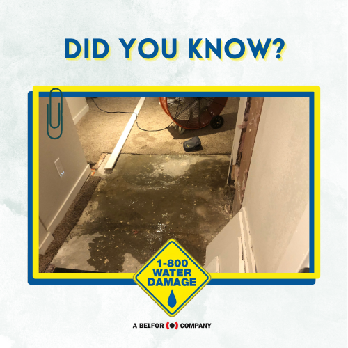 DryingExpert's tweet image. 💧 Water damage is a common and costly issue that affects both homes and businesses. Did you know that water damage claims accounted for nearly 30% of all homeowner's insurance claims in 2020? 📊

Click here for more information: facebook.com/1800WaterDamag…