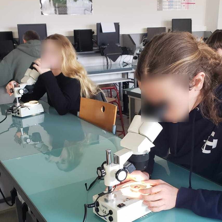 Genopolys tweet media