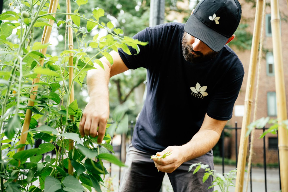 Microhabitat (@microhabitat_ca) on Twitter photo We invite you to be a part of the green revolution! Unleash the potential of your space with our urban farming solutions, tailored for residential, industrial, retail, and office buildings in Canada and the US. Book a demo with us to learn more: hubs.ly/Q02cl11R0 π±π We invite you to be a part of the green revolution! Unleash the potential of your space with our urban farming solutions, tailored for residential, industrial, retail, and office buildings in Canada and the US. Book a demo with us to learn more: hubs.ly/Q02cl11R0 π±π