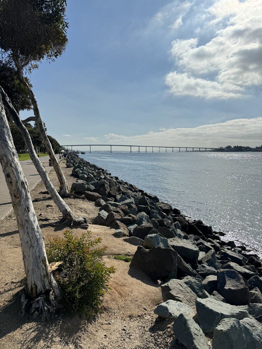 Made it to San Diego for #ASH23! Soaking up some sun and exploring the city before the meeting starts. Super excited to be here! ☀️