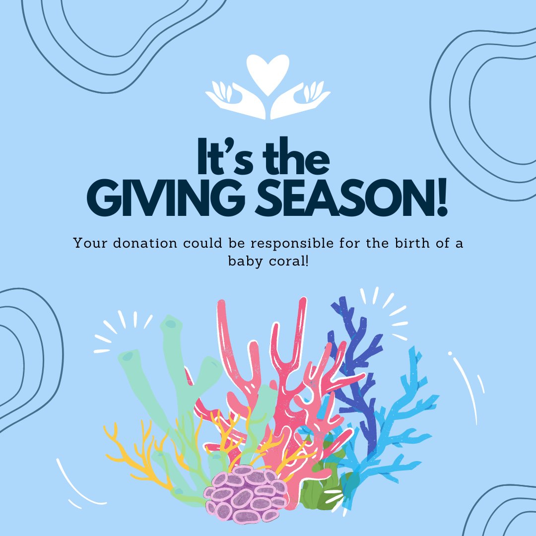 armsrestore tweet media